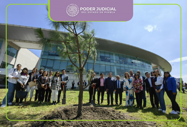 Reforestan Perímetro de Ciudad Judicial Siglo XXI