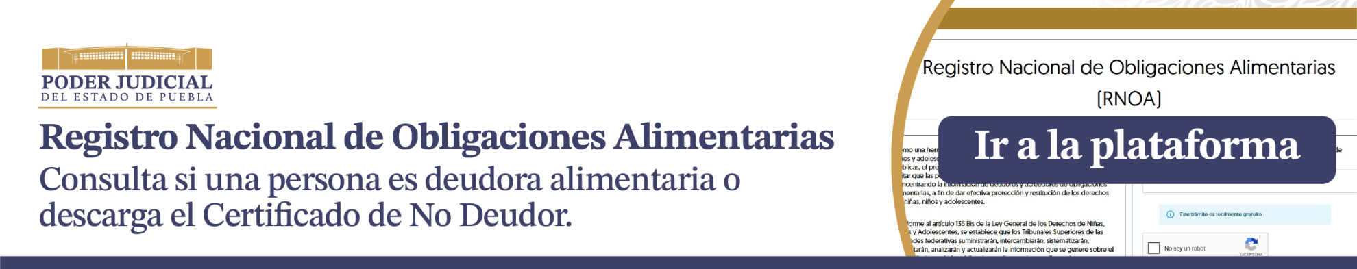 Obligaciones Alimentarias